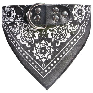  ybgp o_i OpXJ[t   L X^C 悾ꂩ  J[ yCY[ U ߂  