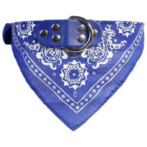  ybgp o_i OpXJ[t   L X^C 悾ꂩ  J[ yCY[ U ߂  