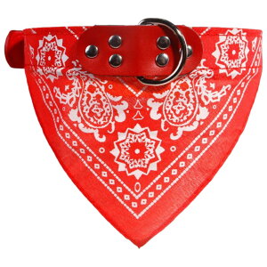  ybgp o_i OpXJ[t   L X^C 悾ꂩ  J[ yCY[ U ߂  