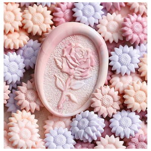  V[ObNX X V[OX^vpi 100Zbg   t[  Ђ܂  ҏ 莆