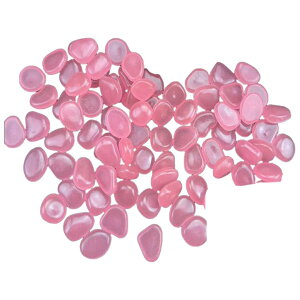    200 ANAEpi  ~   Mы  ԕr Jt Xg[   