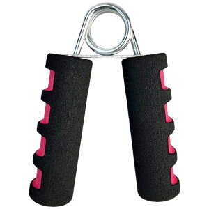  nhObv nhObp[ jp g[jO GNTTCY   ؗ ؃g  b 