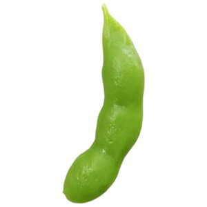  }Olbg  A j[N 낢 킢  ʕ t[c ① zCg{[h Lb` rO