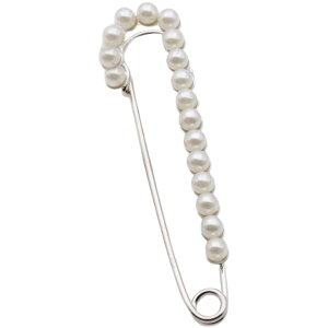  u[` su[` fB[X l ANZT[ Ss CXg[ tFCNp[ LL O 傫߂