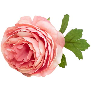   Pi 1{ tFCNt[ O t[AWg A[eBtBVt[ A[gt[ ԏ  CeAG ʐ^Be tHg p[eB[ ̓ Mt