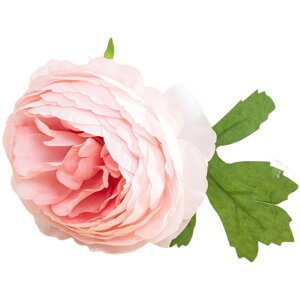   Pi 1{ tFCNt[ O t[AWg A[eBtBVt[ A[gt[ ԏ  CeAG ʐ^Be tHg p[eB[ ̓ Mt