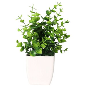  tFCNO[ CeA  lHϗtA ^ t vJ ϗtA A   C~e[V Mtg v[g