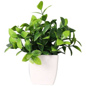  tFCNO[ CeA  lHϗtA ^ t vJ ϗtA A   C~e[V Mtg v[g