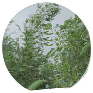  ~[  CeA AN~[ ~` ȉ~ n[g^ Eh^ EF[u y  킢 k i`