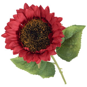   tFCNt[ Ђ܂ 3{Zbg CeA A[gt[  Tt[ lt[ q} ԍ ԏ t[AWg fBXvC  fR