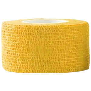  X|[cpe[v e[v Lke[v F3Zbg 2.5cm X|[ce[v e[sO T|[ge[v ʋC ֐ I G  w  Vv