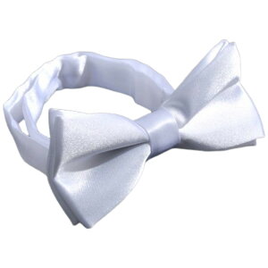  lN^C LbY j̎q ̎q lN^C tH[} qp ߉ \  w  p[eB[ Cxg JoLx