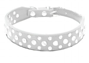  p Lp p Lp xg^Cv `[J[ PUU[ ^ ^ ybgpi ybgObY CXg[ 