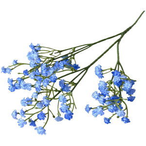   tFCNt[ 1{ Pi JX~\E CeAG DIY A[gt[ AWg lH ԑ t[AW a LO Ǝ  킢  v