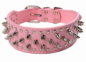   J[ ybgp ^ ^ ^ XpCN  U X^bY  