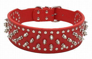   J[ ybgp ^ ^ ^ XpCN  U X^bY  