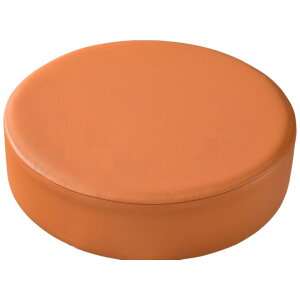  `FAJo[ ۈ֎qJo[ ~` ی^ Eh U[ n ی h~ h~ ͗lւ ֎q CX ȒP Vv CN  킢