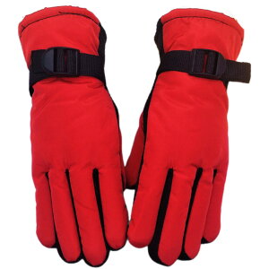 �������� ��� �O���[�u �X�m�[�O���[�u �T�C�N�����O�O���[�u �q���p �L�b�Y �W���j�A ���f�B�[�X ��l�p �j�̎q ���̎q 5�{�w �ۉ� ���{�A �h�� �h�� ����~�ߕt�� �X�|�[�c �A�E�g�h�A �J