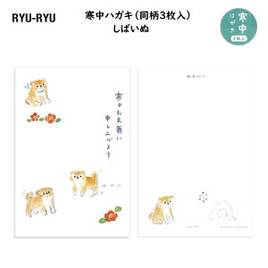 y3znKL ΂ Č ͂  l N Nn A  { RYU-RYU  WPP-2404