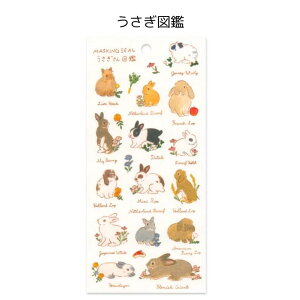 yXRWqfUCz}XLOV[ ETM  e } Ԋ 킢 l ANeBuR[|[V H12-ST-570/H12-ST-571