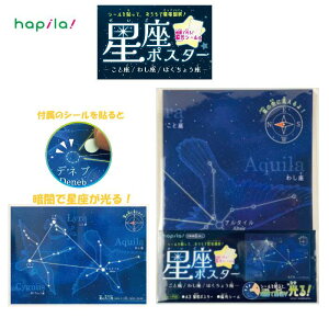 �����|�X�^�[ �ÈłŌ���~���V�[���t�� A3�T�C�Y ���ƍ�/�킵��/�͂����傤�� �V�̊ϑ� �F�� ���� �V���w �n�s�� KSK10