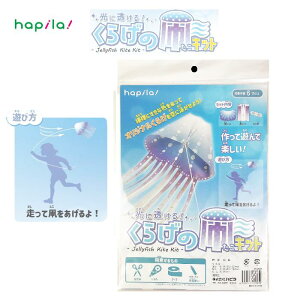 ɓI炰̑Lbg Lbg   炰 ̗̂V OV a  g ns KSK04