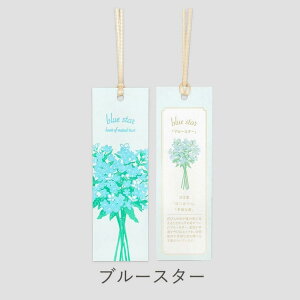 Hakuoshi Botanical  x 2 o u[X^[ ~U Ex[^ pL   {^jJ  ubN}[N BOOKMARK  킢 Ԍt A yY v[g 