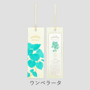 Hakuoshi Botanical  x 2 o u[X^[ ~U Ex[^ pL   {^jJ  ubN}[N BOOKMARK  킢 Ԍt A yY v[g 