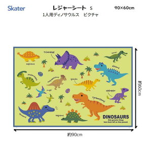 W[V[g S 1lp fBmTEX sN` 60×90cm y h  _Ci\[  ^ sNjbN ł ` ۈ牀 ct w XP[^[ skater VS1_4973307673979