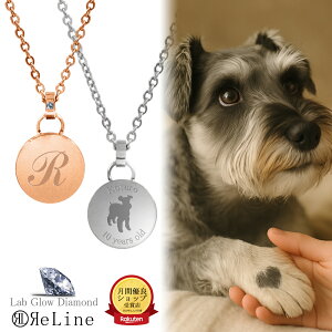 y͕iӁzybg{p _Ch_T[Ny_g ⍜y_g ⍜ANZT[ʍ ȈՖh XeX Ή ⍜L[z_[ 茳{ ybg