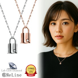 【模倣品注意】リライン ダイヤモンドパドロックペンダント 刻印無 全2色 遺骨ペンダント ステンレス製 防水 名入れ ペットロス 遺骨カプセル 遺骨キーホルダー 遺骨アクセサリー ペット 分骨 骨壺 仏具 手元供養 メモリアルグッズ 鍵