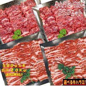 Ă o[xL[ H BBQ  ēZbg o Jr n~ o[xL[Zbg H  BBQHރZbg BBQ H BBQ   2kg  6`8lO