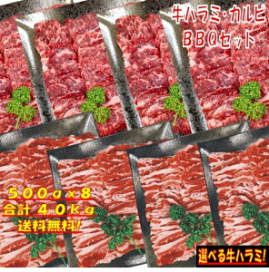 Ă o[xL[ H 4kg BBQ  ēZbg o Jr n~ o[xL[Zbg H  BBQHރZbg BBQ H BBQ ē    12`15lO