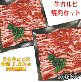 焼き肉 【精肉セット ランキング1位！】バーベキュー 食材 1kg BBQ 肉 焼肉セット 焼肉 牛カルビ 牛バラ バーベキュー 肉 バーベキューセット 食材 BBQ食材セット BBQ 食材 焼肉 牛丼 牛肉 送料無料 4〜6人前