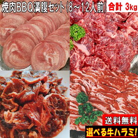 焼き肉 バーベキュー肉 焼肉セット バーベキュー 食材 BBQ 肉 焼き肉セット タン 牛カルビ 牛バラ 牛ハラミ 牛肉 豚肉 BBQ 食材 バーベキューセット 食材 3.0kg 送料無料 8〜12人前