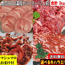 焼き肉 バーベキュー肉 焼肉セット 【マシュマロおまけ付】 バーベキュー 食材 BBQ 肉 焼き肉セット タン 牛カルビ 牛バラ 牛ハラミ 牛肉 豚肉 BBQ 食材 バーベキューセット 食材 3.0kg 送料無料 8〜12人前
