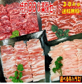 焼き肉 バーベキュー 食材 3.0kg BBQ 肉 焼肉セット 牛カルビ 牛バラ 牛ハラミ 豚カルビ 豚バラ 豚トロ バーベキュー 肉 BBQ食材セット BBQ 食材 焼肉 豚肉 牛丼 牛肉 送料無料 8〜12人前