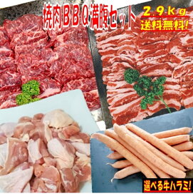 焼き肉 バーベキュー 食材 2.9kg BBQ 肉 焼肉セット 牛カルビ 牛バラ 牛ハラミ 鶏もも肉 バーベキュー 肉 ウインナー ソーセージ BBQ 食材 焼肉 豚肉 鶏肉 牛肉 送料無料 8〜12人前