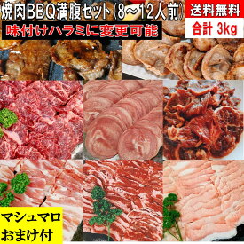 焼肉セット バーベキュー 肉 BBQ 食材 3.0kg 豚肉 バーベキュー 食材 BBQ 肉 焼き肉セット 焼肉 タン 牛カルビ 牛バラ 牛ハラミ 豚カルビ 豚バラ 牛肉 バーベキューセット 食材 キャンプ 豚トロ 豚肉 送料無料 8〜12人前