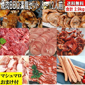 焼肉セット バーベキュー 肉 BBQ 食材 2.9kg 豚肉 バーベキュー 食材 BBQ 肉 焼き肉 セット タン 牛カルビ 牛バラ 牛ハラミ 豚カルビ 豚バラ 鶏もも肉 牛肉 BBQ食材セット ウインナー ソーセージ 鶏肉 送料無料 8〜12人前