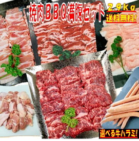 焼肉セット バーベキュー 肉 焼き肉 バーベキュー 食材 2.9kg BBQ 肉 牛カルビ 牛バラ 牛ハラミ 豚カルビ 豚バラ 鶏もも肉 バーベキュー 肉 豚トロ ウインナー ソーセージ 肉 ホームパーティー 焼肉 豚肉 鶏肉 牛肉 送料無料 8〜12人前