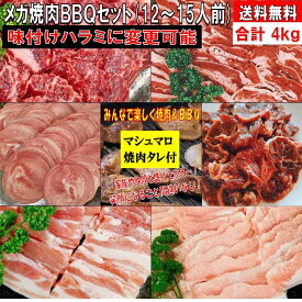 焼き肉 【復活 焼肉タレ付】 バーベキュー 食材 4.0kg BBQ 肉 焼肉セット タン 牛カルビ 牛バラ 牛ハラミ 豚カルビ 豚バラ 牛肉 バーベキューセット 食材 バーベキュー 肉 ホームパーティー 焼肉 豚トロ 豚肉 送料無料 12〜15人前