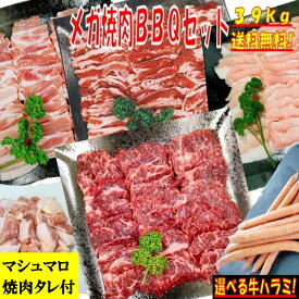 焼き肉 【復活 焼肉タレ付】 バーベキュー 食材 3.9kg BBQ 肉 焼肉セット 牛カルビ 牛バラ 牛ハラミ 豚カルビ 豚バラ 鶏もも肉 バーベキュー 肉 豚トロ 焼肉 ウインナー ソーセージ 豚肉 鶏肉 牛肉 送料無料 12〜15人前