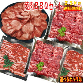 焼肉セット 【精肉セット ランキング2位】牛タン 塩タン 薄切り 焼き肉 バーベキュー 食材 BBQ 肉 バーベキュー肉 焼き肉セット 牛バラ 牛カルビ 牛ハラミ バーベキューセット 食材 肉 BBQ食材セット BBQ 食材 BBQ 牛肉 2.5kg 送料無料 6〜8人前