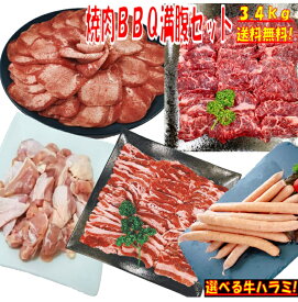 牛タン 塩タン 薄切り 3.4kg 焼き肉 バーベキュー 食材 BBQ 肉 焼肉セット 牛カルビ 牛バラ 牛ハラミ 鶏もも肉 バーベキュー 肉 ウインナー ソーセージ 焼肉 BBQ 食材 豚肉 鶏肉 牛肉 送料無料 8〜12人前