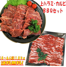 バーベキューセット 焼き肉 1kg バーベキュー 食材 BBQ 肉 焼肉セット 牛バラ 牛カルビ 牛ハラミ 上ハラミ食材 肉 BBQ食材セット BBQ 食材 焼肉 牛丼 牛肉 送料無料 4〜6人前