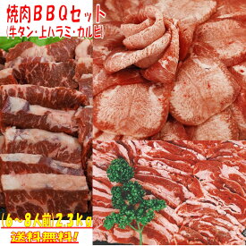 バーベキューセット 牛タン 塩タン 2.3kg 薄切り 焼き肉 バーベキュー 食材 BBQ 肉 焼肉セット 牛バラ 牛カルビ 牛ハラミ 上ハラミ アメリカ カナダ 肉 BBQ食材セット BBQ 食材 BBQ 牛丼 牛肉 送料無料 6〜8人前