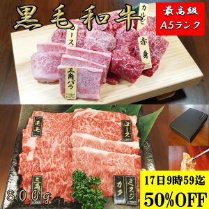 јa y10900~21800 1420` sale  Zbg LO1 lz A5   8Zbg 800g a   Ă Ԃ ē   O  [X J