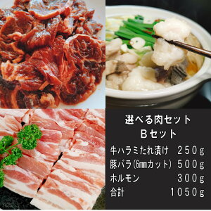 焼肉 焼き肉 バーベキュー 食材 最大1.3kg BBQ 肉 焼肉セット バーベキュー 肉 セット 牛ハラミ 豚バラ 鶏モモ バーベキューセット 食材 肉 BBQ食材セット BBQ 食材 BBQ 焼肉 牛丼 牛肉 唐揚げ 送料