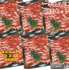 【精肉セット ランキング1位】 焼き肉 バーベキュー 食材 1kg BBQ 肉 焼肉セット 焼肉 牛カルビ 牛バラ バーベキュー 肉 バーベキューセット 食材 BBQ食材セット BBQ 食材 焼肉 牛丼 牛肉 送料無料 4〜6人前